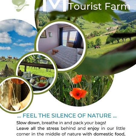 Miljana Masnec Tourist Farm 빌라 외부 사진