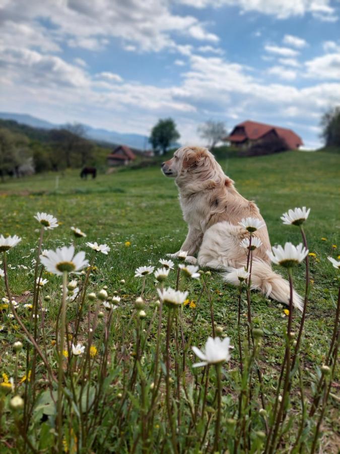 Miljana Masnec Tourist Farm 빌라 외부 사진