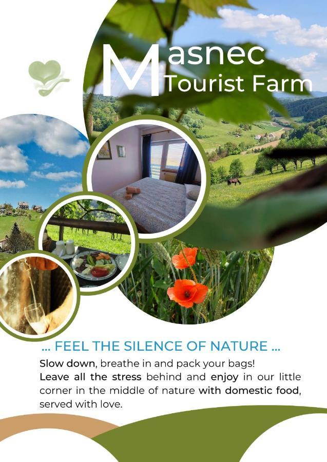 Miljana Masnec Tourist Farm 빌라 외부 사진